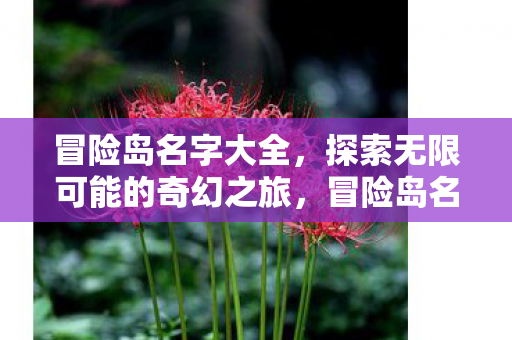 冒险岛名字大全,探索无限可能的奇幻之旅,冒险岛名字大全,开启你的奇幻之旅 冒险岛名字大全,探索无限可能的奇幻之旅,冒险岛名字大全,开启你的奇幻之旅