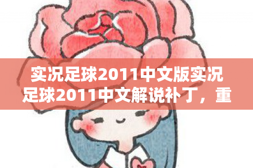 实况足球2011中文版实况足球2011中文解说补丁图片