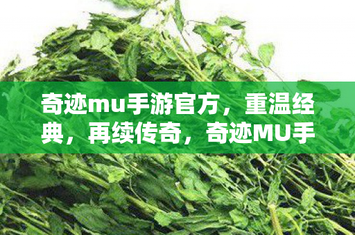 奇迹mu手游官方图片
