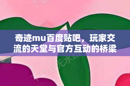 玩家交流的天堂与官方互动的桥梁图片