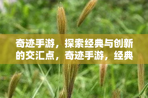 经典与创新交汇的探索之旅图片