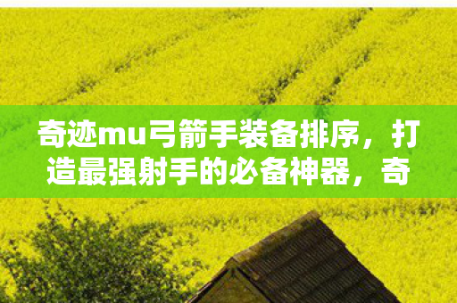 奇迹mu弓箭手装备排序图片