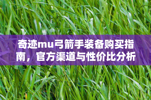 奇迹mu弓箭手装备购买指南图片