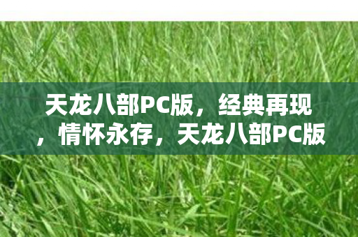天龙八部PC版图片