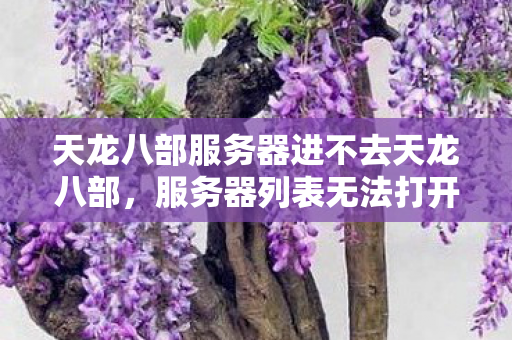 天龙八部服务器列表无法打开之谜图片