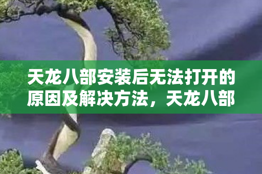 天龙八部安装后无法打开的原因及解决方法图片