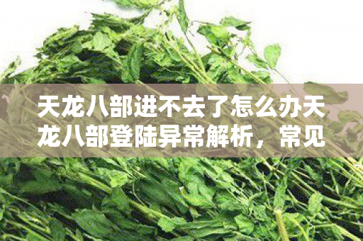天龙八部进不去了怎么办天龙八部登陆异常解析图片