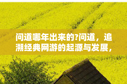 问道哪年出来的?问道,追溯经典网游的起源与发展,问道网游起源与发展,经典网游的传奇之路 问道哪年出来的?问道,追溯经典网游的起源与发展,问道网游起源与发展,经典网游的传奇之路