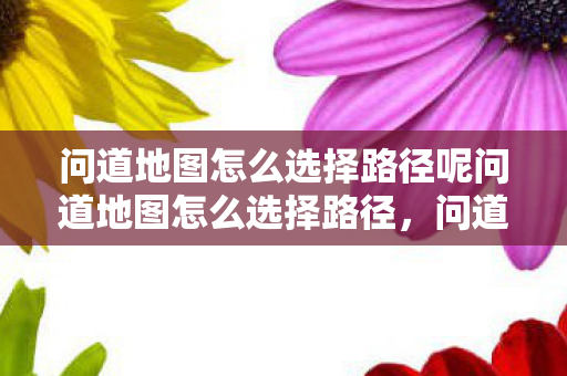 问道地图怎么选择路径呢问道地图怎么选择路径,问道地图如何选择路径 问道地图怎么选择路径呢问道地图怎么选择路径,问道地图如何选择路径