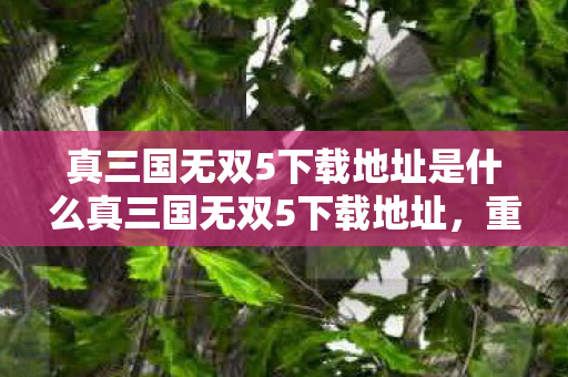 真三国无双5下载地址是什么真三国无双5下载地址,重温经典战场的便捷途径,重温经典战场,真三国无双5下载地址全解析 真三国无双5下载地址是什么真三国无双5下载地址,重温经典战场的便捷途径,重温经典战场,真三国无双5下载地址全解析