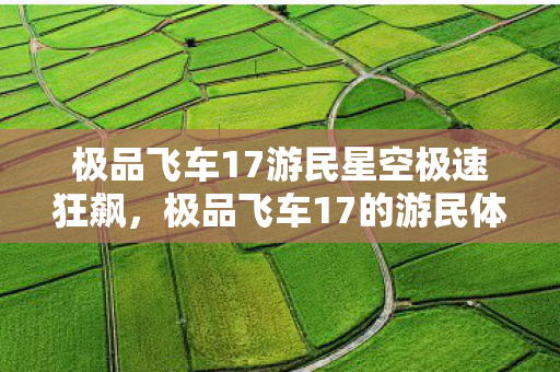极品飞车17游民星空极速狂飙,极品飞车17的游民体验,极品飞车17,游民星空极速狂飙的极致体验 极品飞车17游民星空极速狂飙,极品飞车17的游民体验,极品飞车17,游民星空极速狂飙的极致体验