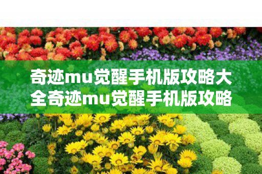 奇迹mu觉醒手机版攻略大全奇迹mu觉醒手机版攻略图片