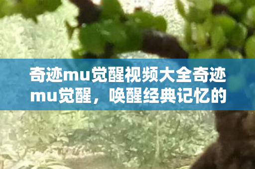 奇迹mu觉醒视频大全奇迹mu觉醒图片