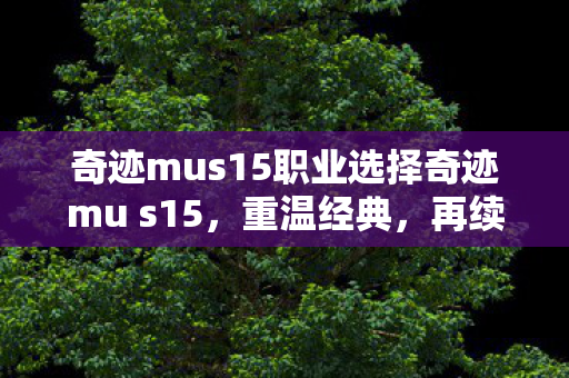 奇迹mus15职业选择奇迹mu s15图片