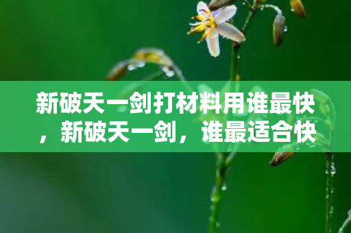 新破天一剑打材料用谁最快,新破天一剑,谁最适合快速打材料? 新破天一剑打材料用谁最快,新破天一剑,谁最适合快速打材料?
