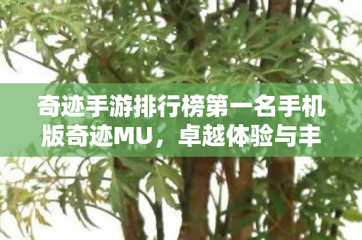 奇迹手游排行榜第一名手机版奇迹MU图片
