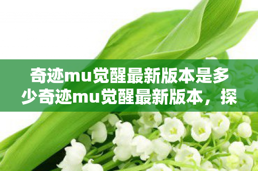 奇迹mu觉醒最新版本是多少奇迹mu觉醒最新版本图片