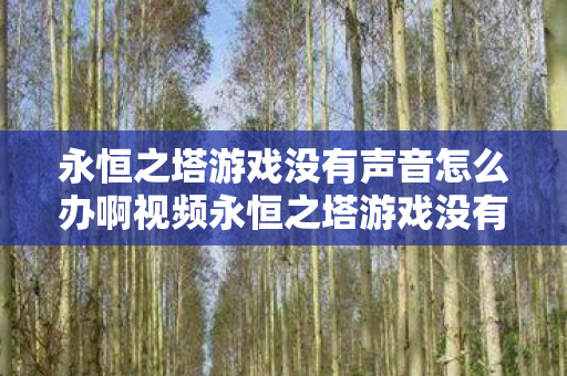 永恒之塔游戏没有声音怎么办啊视频永恒之塔游戏没有声音怎么办图片