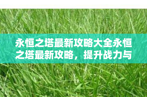 永恒之塔最新攻略大全永恒之塔最新攻略图片