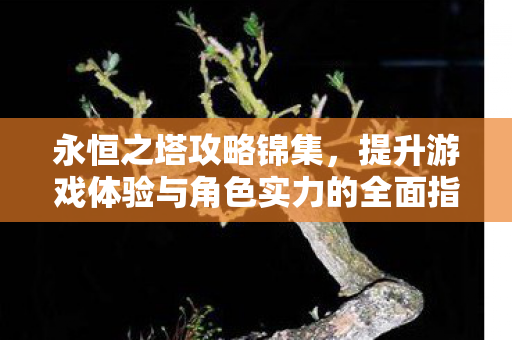 提升游戏体验与角色实力的全面指南图片