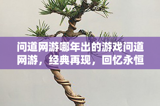 问道网游哪年出的游戏问道网游,经典再现,回忆永恒,问道网游,经典再现,回忆永恒 问道网游哪年出的游戏问道网游,经典再现,回忆永恒,问道网游,经典再现,回忆永恒