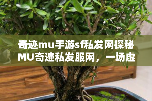奇迹mu手游sf私发网探秘MU奇迹私发服网图片