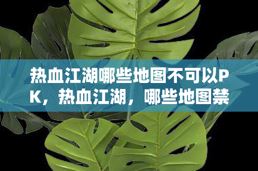 热血江湖哪些地图不可以PK，热血江湖，哪些地图禁止PK？