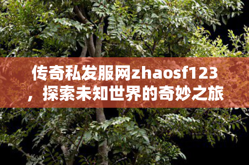 传奇私发服网zhaosf123图片