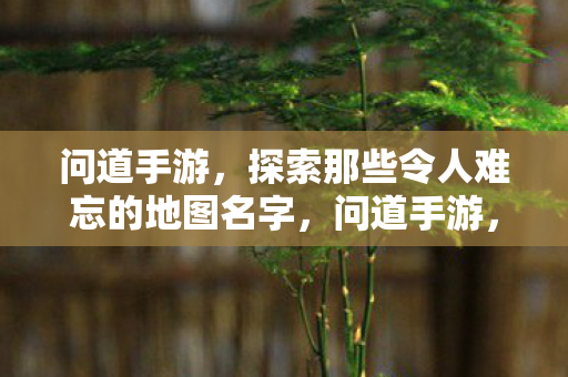问道手游,探索那些令人难忘的地图名字,问道手游,探索那些令人难忘的地图名字 问道手游,探索那些令人难忘的地图名字,问道手游,探索那些令人难忘的地图名字