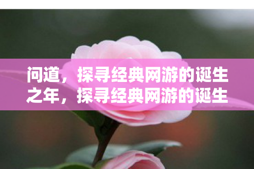 问道,探寻经典网游的诞生之年,探寻经典网游的诞生之年,问道的传奇之路 问道,探寻经典网游的诞生之年,探寻经典网游的诞生之年,问道的传奇之路