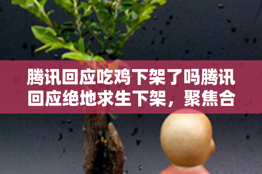 腾讯回应吃鸡下架了吗腾讯回应绝地求生下架图片