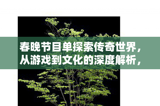 春晚节目单探索传奇世界图片