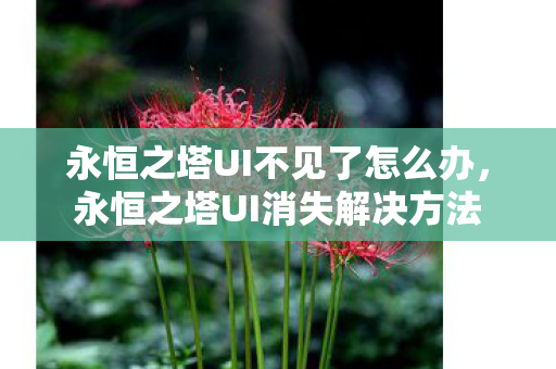 永恒之塔UI不见了怎么办图片