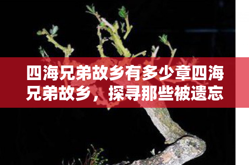 四海兄弟故乡有多少章四海兄弟故乡图片