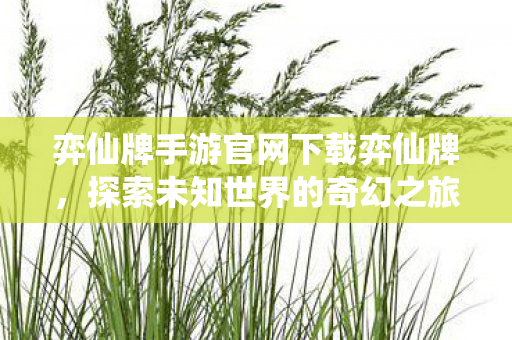 弈仙牌手游官网下载弈仙牌图片