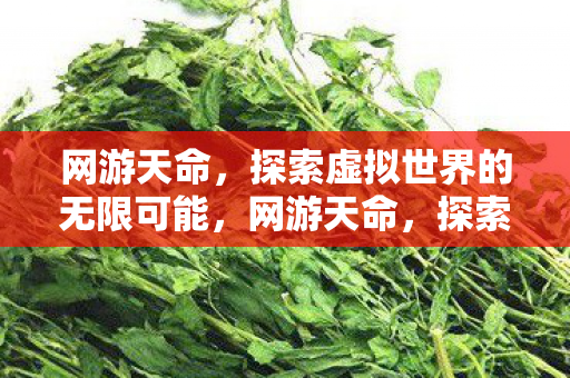 网游天命,探索虚拟世界的无限可能,网游天命,探索虚拟世界的无限可能 网游天命,探索虚拟世界的无限可能,网游天命,探索虚拟世界的无限可能