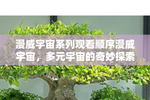 漫威宇宙系列观看顺序漫威宇宙图片