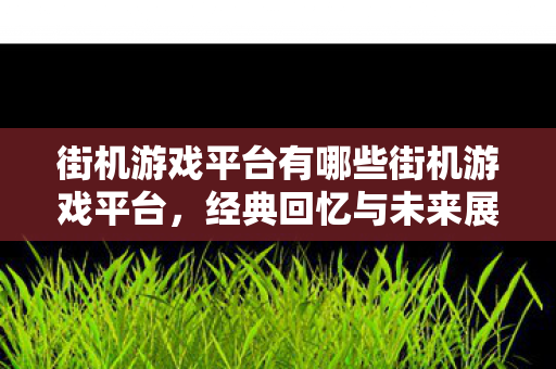 街机游戏平台有哪些街机游戏平台图片