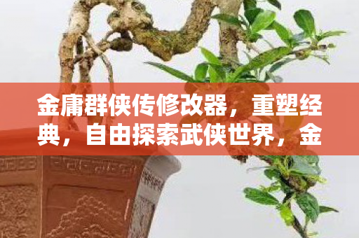 金庸群侠传修改器图片