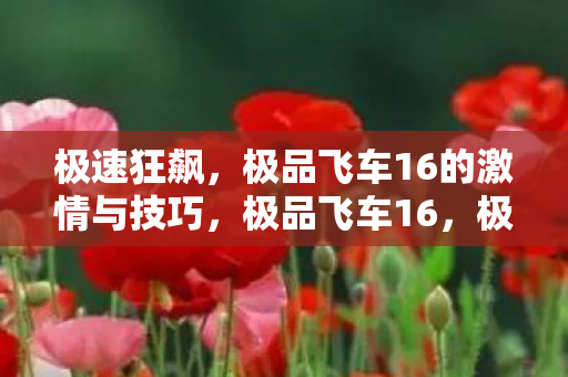极品飞车16的激情与技巧图片