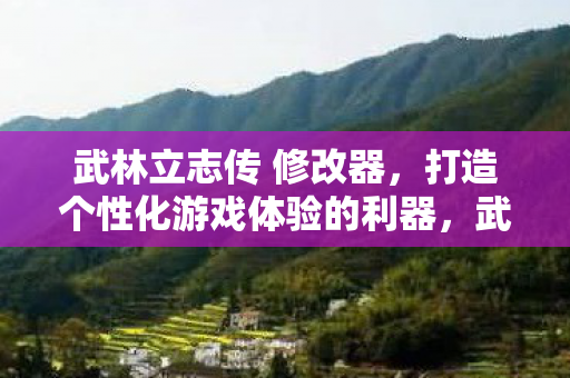 武林立志传 修改器，打造个性化游戏体验的利器，武林立志传修改器，打造个性化游戏体验的利器