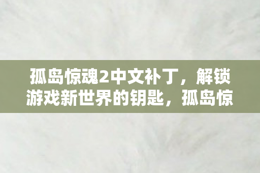 孤岛惊魂2中文补丁，解锁游戏新世界的钥匙，孤岛惊魂2中文补丁，解锁游戏新世界的关键