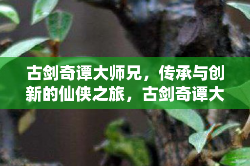 古剑奇谭大师兄，传承与创新的仙侠之旅，古剑奇谭大师兄，传承与创新的仙侠之旅