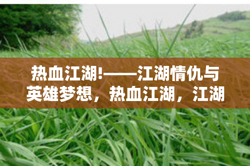 热血江湖!——江湖情仇与英雄梦想，热血江湖，江湖情仇交织英雄梦想