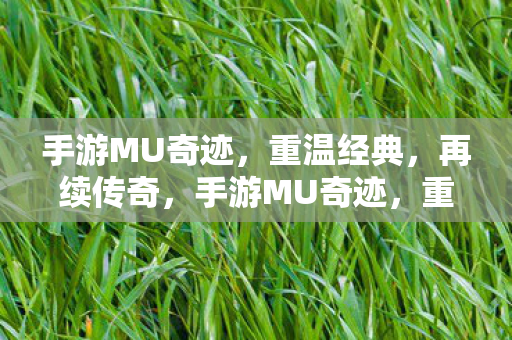 手游MU奇迹图片