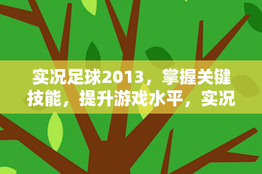实况足球2013图片