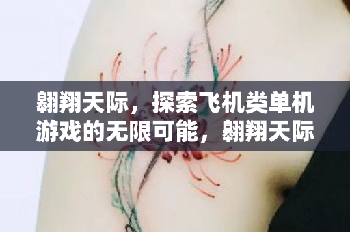 探索飞机类单机游戏的无限可能图片