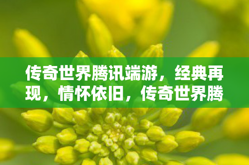 传奇世界腾讯端游图片