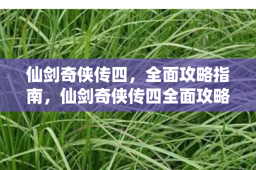 仙剑奇侠传四,全面攻略指南,仙剑奇侠传四全面攻略指南,解锁游戏精髓,助你轻松通关 仙剑奇侠传四,全面攻略指南,仙剑奇侠传四全面攻略指南,解锁游戏精髓,助你轻松通关