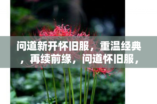 问道新开怀旧服,重温经典,再续前缘,问道怀旧服,重温经典,再续前缘 问道新开怀旧服,重温经典,再续前缘,问道怀旧服,重温经典,再续前缘